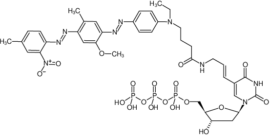 Jena Bioscience - Structural Formation of Aminoallyl-duTP-BHQ-1